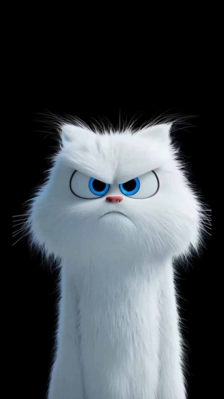 Furious Fluffy Cat Wallpaper – Cute Yet Angry HD Background