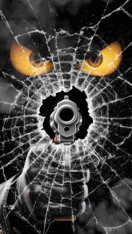 Shattered Aim Broken Glass Gunshot Wallpaper in HD